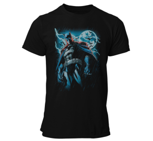 Batman Stormy Knight